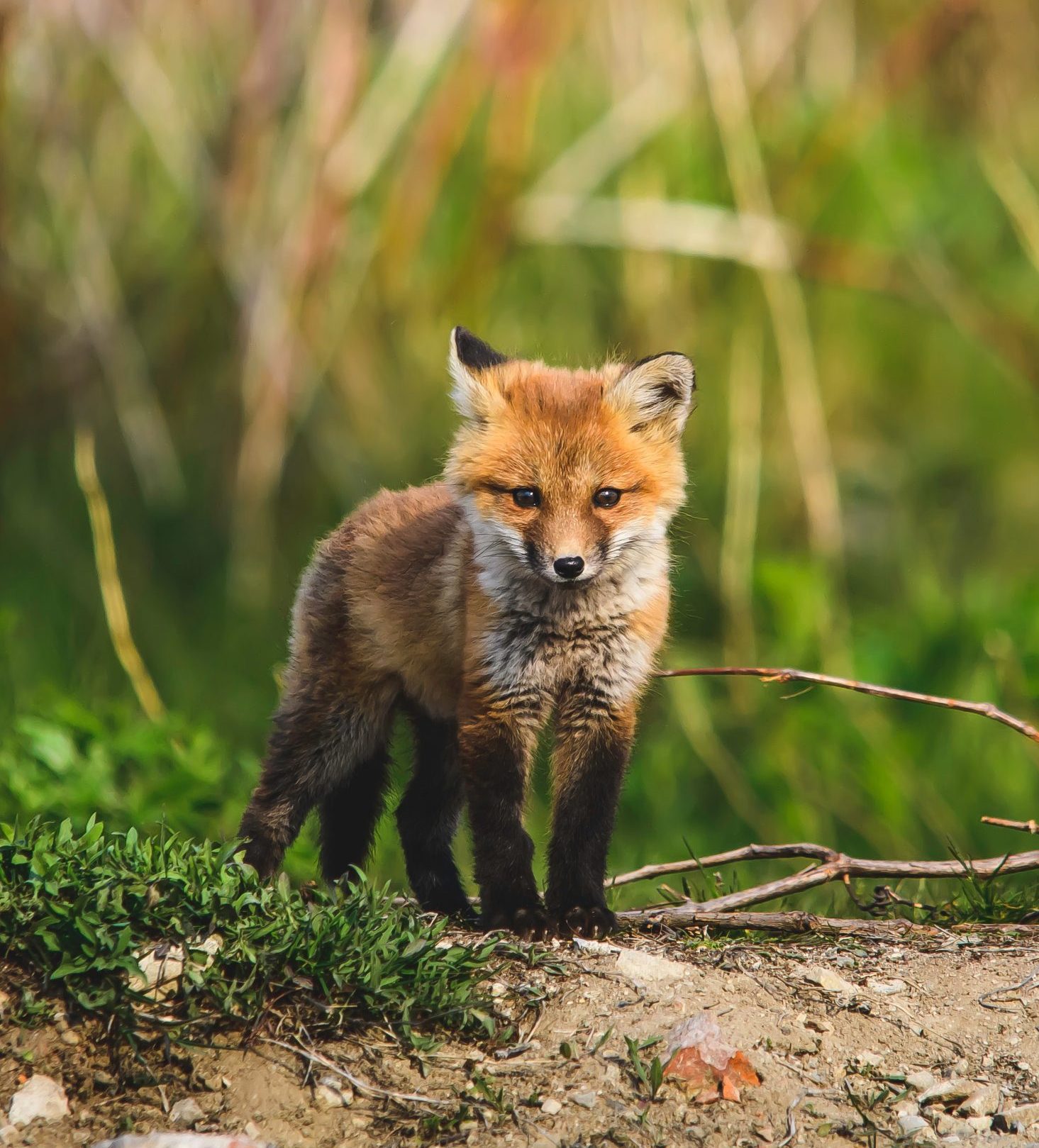 jeremy-hynes-l_eSPV-eW8o-unsplash